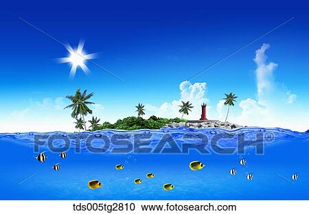 fishes swimming in summer beach View Large Illustration Clipart - fishes swimming in summer beach. Fotosearch