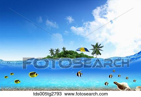 Drawing - fishes swimming in summer beach. Fotosearch