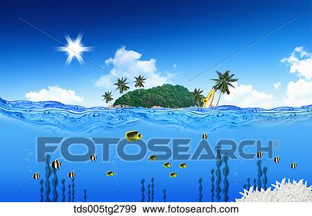 Stock Illustration - fishes swimming in summer beach. Fotosearch