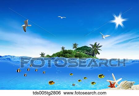 fishes swimming in summer beach View Large Illustration Stock Illustration - fishes swimming in summer beach. Fotosearch