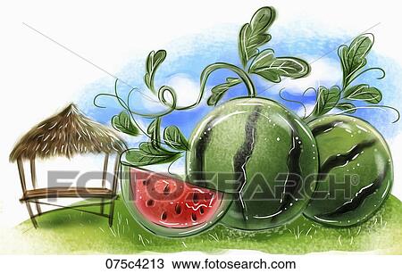 watermelons by the lookout hut View Large Illustration Drawing - watermelons by the lookout hut. Fotosearch