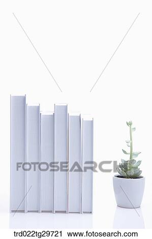books and flowerpot View Large Photo Image Stock Image - books and flowerpot. Fotosearch