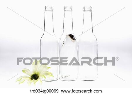 Stock Photo - bottles with flowers. Fotosearch