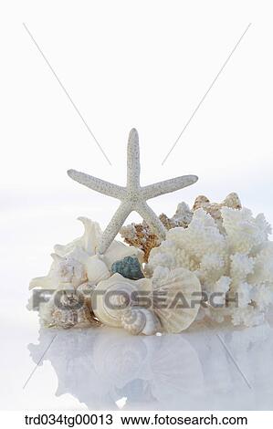 props of summer View Large Photo Image Stock Image - props of summer. Fotosearch