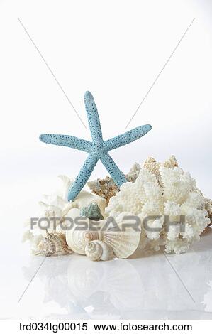 props of summer View Large Photo Image Stock Photography - props of summer. Fotosearch