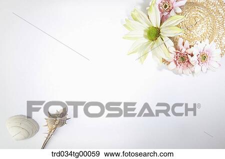 sea shells and hat with flowers View Large Photo Image Stock Photo - sea shells and hat with flowers . Fotosearch