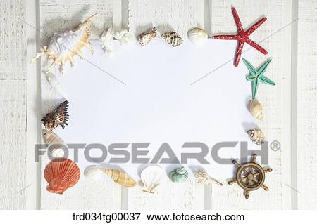 Stock Photo - sea shells and starfish in frame. Fotosearch