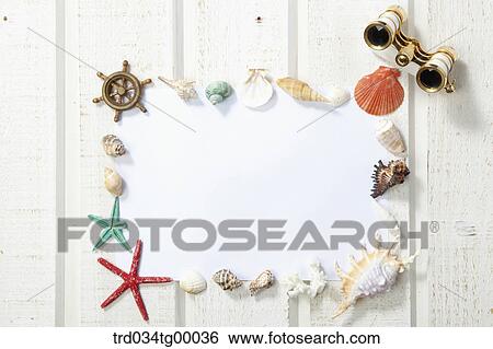 sea shells and starfish in frame View Large Photo Image Stock Photograph - sea shells and starfish in frame. Fotosearch