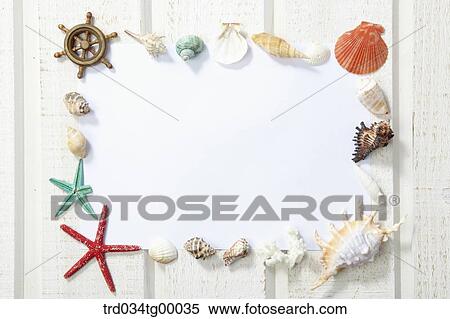 sea shells and starfish in frame View Large Photo Image Stock Photography - sea shells and starfish in frame. Fotosearch