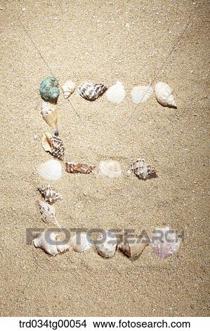 sea shells make letter of E on the sand View Large Photo Image Picture - sea shells make letter of E on the sand. Fotosearch