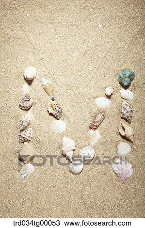 sea shells make letter of M on the sand View Large Photo Image Stock Image - sea shells make letter of M on the sand. Fotosearch