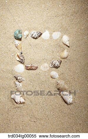 sea shells make letter of R on the sand View Large Photo Image Stock Photography - sea shells make letter of R on the sand. Fotosearch