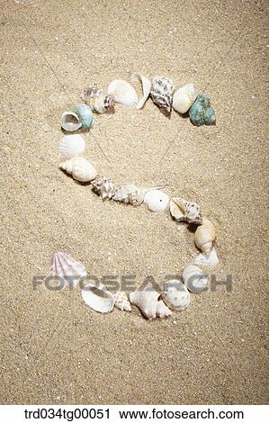 sea shells make letter of S on the sand View Large Photo Image Stock Image - sea shells make letter of S on the sand. Fotosearch