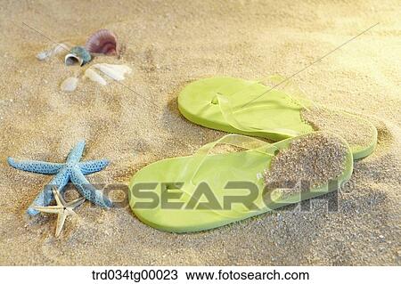 starfishes and flipflops on the sand View Large Photo Image Stock Image - starfishes and flipflops on the sand. Fotosearch