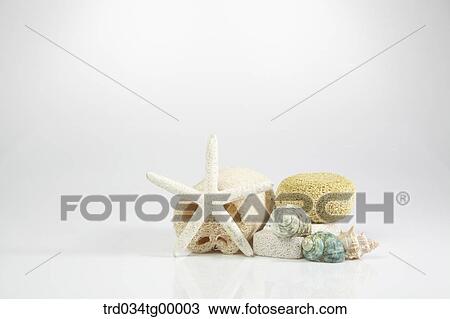 summer vacation items View Large Photo Image Stock Image - summer vacation items. Fotosearch