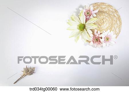 turban shell and hat with flowers View Large Photo Image Stock Image - turban shell and hat with flowers. Fotosearch