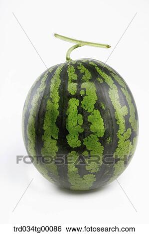 watermelon View Large Photo Image Stock Photograph - watermelon. Fotosearch