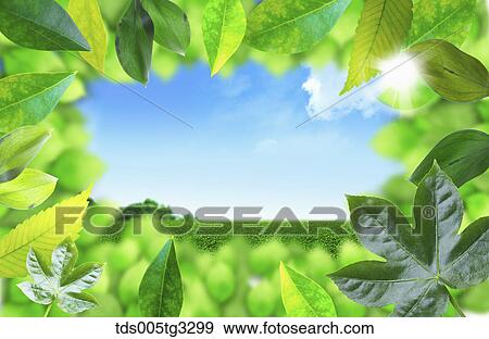 Stock Illustration - The sky with green leaves around. Fotosearch