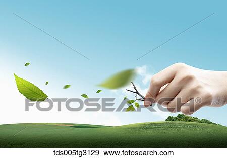 Stock Illustration - A hand holding a branch with leaves and a field of grass. Fotosearch