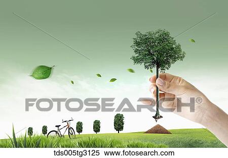 A hand holding a tree and a field of grass and trees View Large Illustration Stock Illustration - A hand holding a tree and a field of grass and trees. Fotosearch
