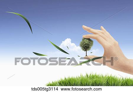 Stock Illustration - A tree on fingertips and grasses. Fotosearch