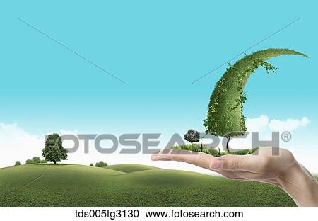 Clipart - Grass and a long tree on a palm and a field of grass. Fotosearch