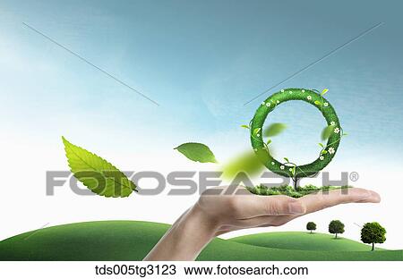Drawing - Grass and an O shaped tree on a palm and a field of grass. Fotosearch