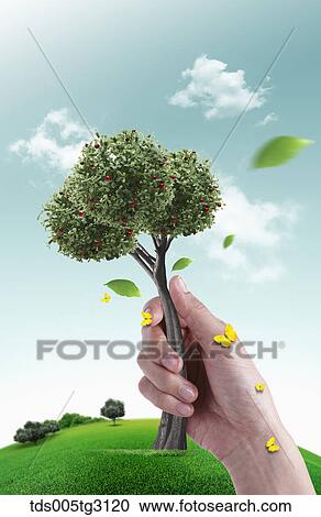 Clipart - Hand grabbing an apple tree on a field of grass. Fotosearch
