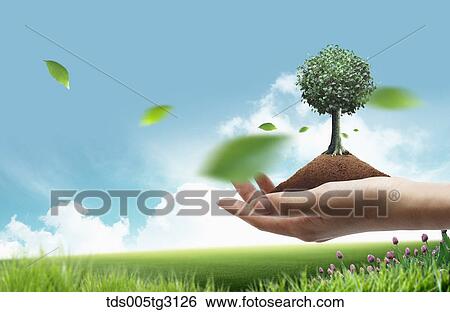 Stock Illustration - Soil and a tree on a palm and a field of grass and flowers. Fotosearch