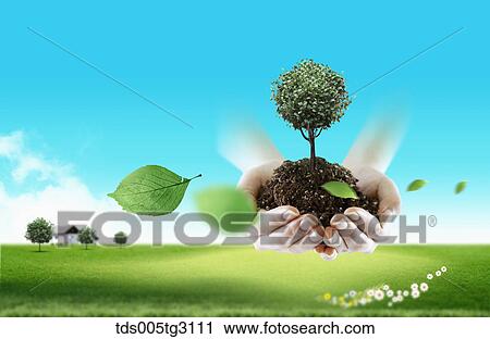 Clip Art - Soil and a tree on hands and a field of grass. Fotosearch
