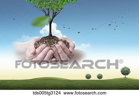 Stock Illustration - Soil and a tree on hands and a field of grass. Fotosearch