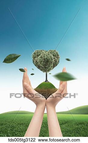 Drawing - Soil and an apple tree on palms and a field of grass. Fotosearch
