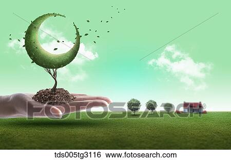 Stock Illustration - Soil and eclipse shaped tree on a palm and a field of grass. Fotosearch