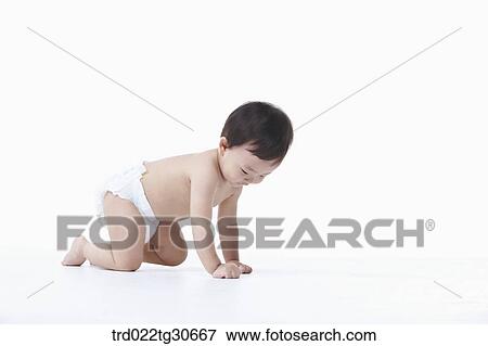 Baby boy in nappy crawling View Large Photo Image Stock Photo - Baby boy in nappy crawling. Fotosearch