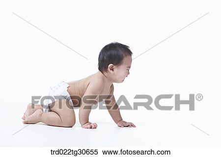 Baby boy in nappy crawling View Large Photo Image Stock Photography - Baby boy in nappy crawling. Fotosearch
