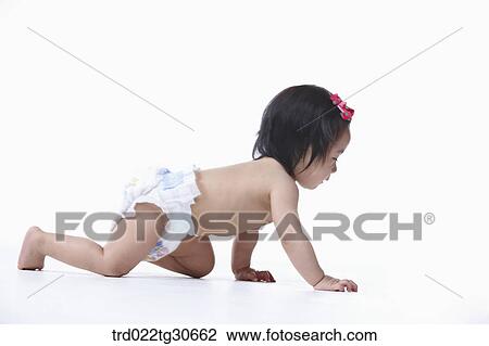 Baby girl in nappy crawling View Large Photo Image Stock Image - Baby girl in nappy crawling. Fotosearch