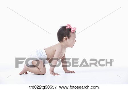 Baby girl in nappy crawling View Large Photo Image Stock Photo - Baby girl in nappy crawling. Fotosearch