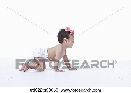 Baby girl in nappy crawling View Large Photo Image Stock Photograph - Baby girl in nappy crawling. Fotosearch
