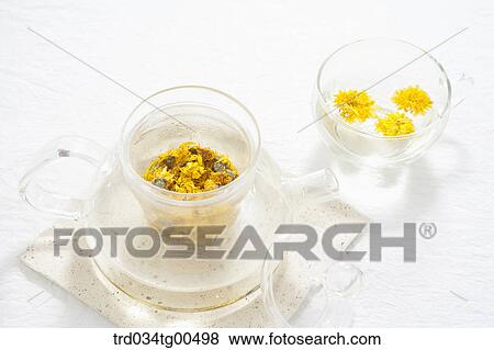 Glass tea pot and a cup of dandelion tea View Large Photo Image Stock Photo - Glass tea pot and a cup of dandelion tea. Fotosearch
