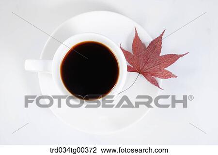 A Cup Of Coffee And A Maple Leaf View Large Photo Image Stock Image - A Cup Of Coffee And A Maple Leaf. Fotosearch
