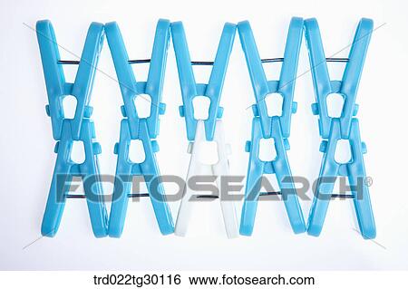 A white clothespin with blue clothespins around View Large Photo Image Stock Photograph - A white clothespin with blue clothespins around. Fotosearch