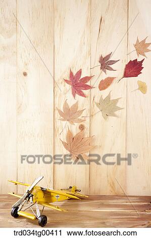 Autumn With Fallen Leaves And Model Airplane View Large Photo Image Stock Image - Autumn With Fallen Leaves And Model Airplane. Fotosearch