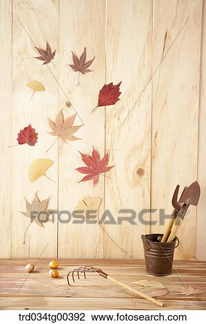 Autumn With Fallen Leaves View Large Photo Image Stock Image - Autumn With Fallen Leaves. Fotosearch
