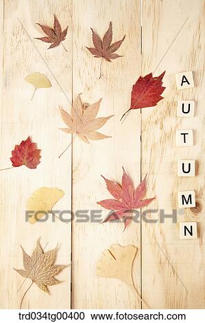 Stock Image - Autumn With Fallen Leaves. Fotosearch