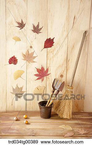 Autumn With Fallen Leaves View Large Photo Image Stock Photo - Autumn With Fallen Leaves. Fotosearch