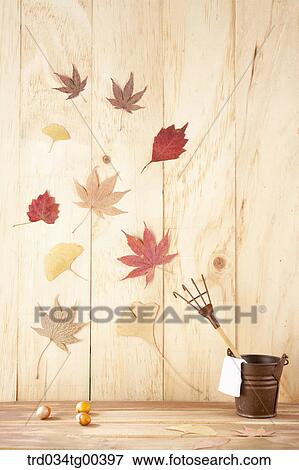 Stock Photo - Autumn With Fallen Leaves. Fotosearch