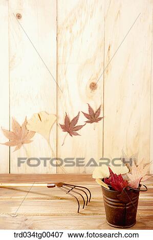 Autumn With Fallen Leaves View Large Photo Image Stock Photo - Autumn With Fallen Leaves. Fotosearch