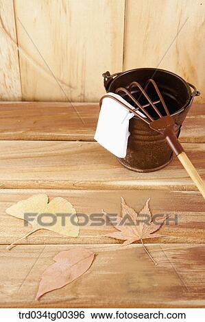 Autumn With Fallen Leaves View Large Photo Image Stock Photograph - Autumn With Fallen Leaves. Fotosearch