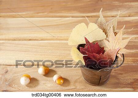 Autumn With Fallen Leaves View Large Photo Image Stock Photograph - Autumn With Fallen Leaves. Fotosearch