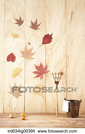Autumn With Fallen Leaves View Large Photo Image Stock Photography - Autumn With Fallen Leaves. Fotosearch